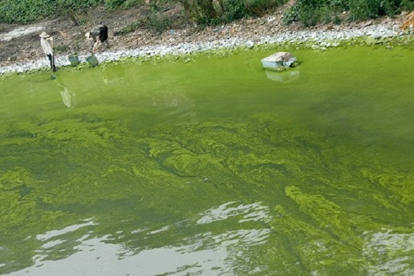 深圳水質檢測公司 第三方 深圳水質檢測公司 第三方