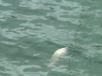 深圳水質檢測 深圳水質檢測