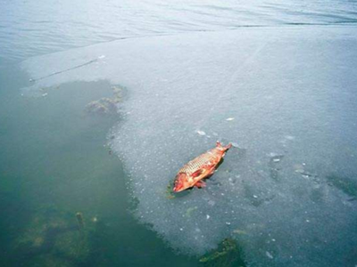 深圳水質檢測 深圳水質檢測
