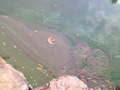 第三方水質(zhì)檢測(cè)公司 第三方水質(zhì)檢測(cè)公司