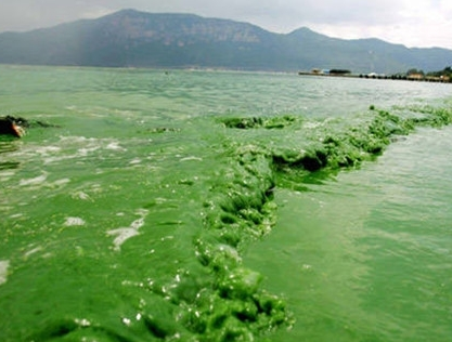 第三方水質檢測公司 第三方水質檢測公司