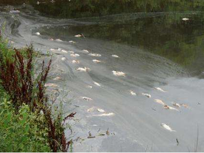 深圳水質檢測機構 深圳水質檢測機構
