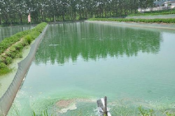 養(yǎng)殖水質檢測 養(yǎng)殖水質檢測